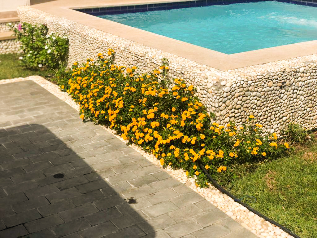 (102-103)”Experience Ultimate Elegance: 8-Bedroom Luxury Villa